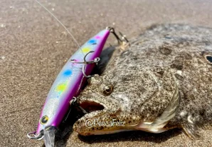 Pesca de LENGUADOS, tips.