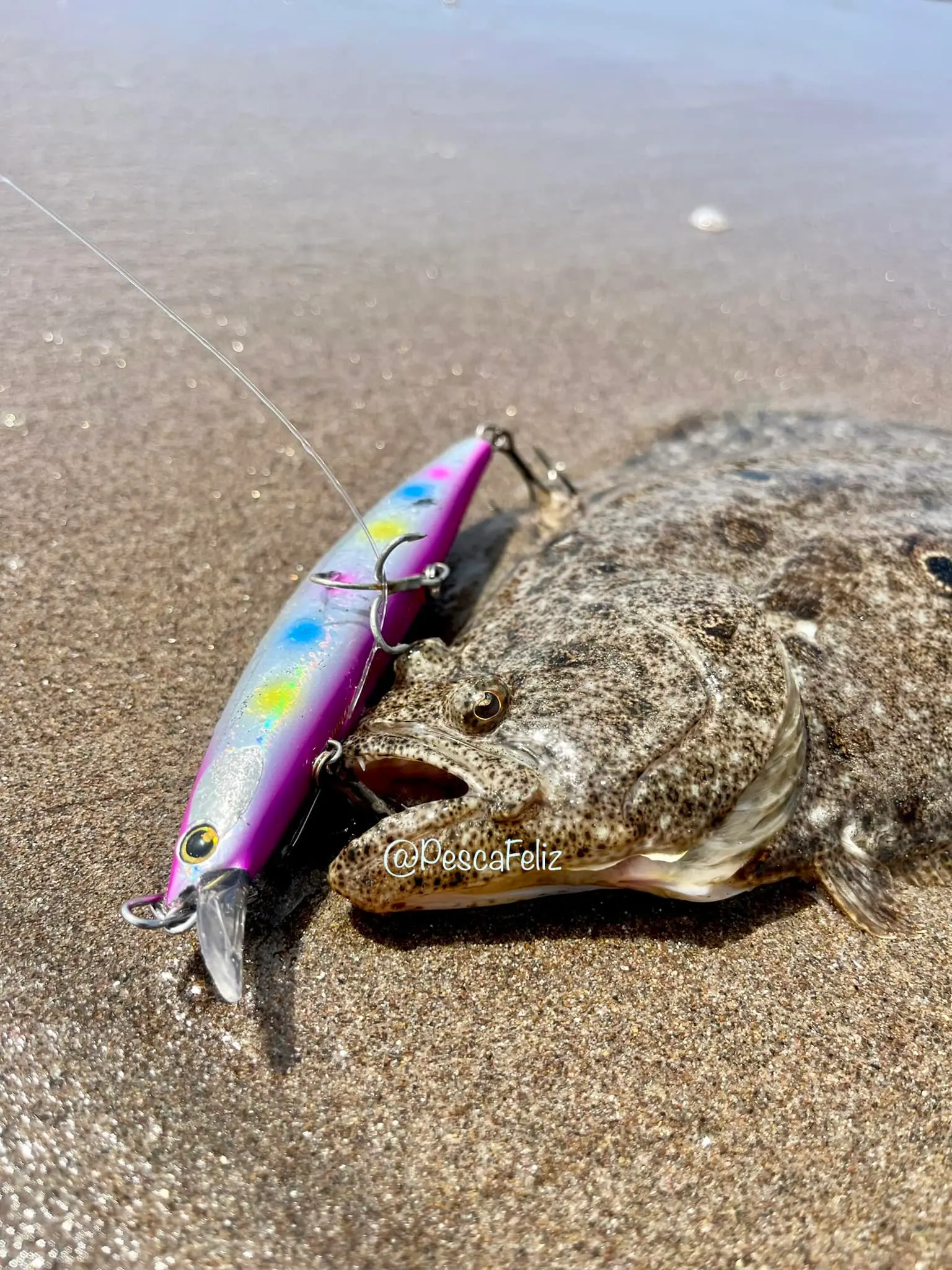 Pesca de LENGUADOS, tips.