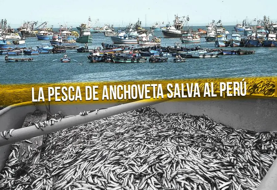 Pesca de Anchoveta en el Perú.